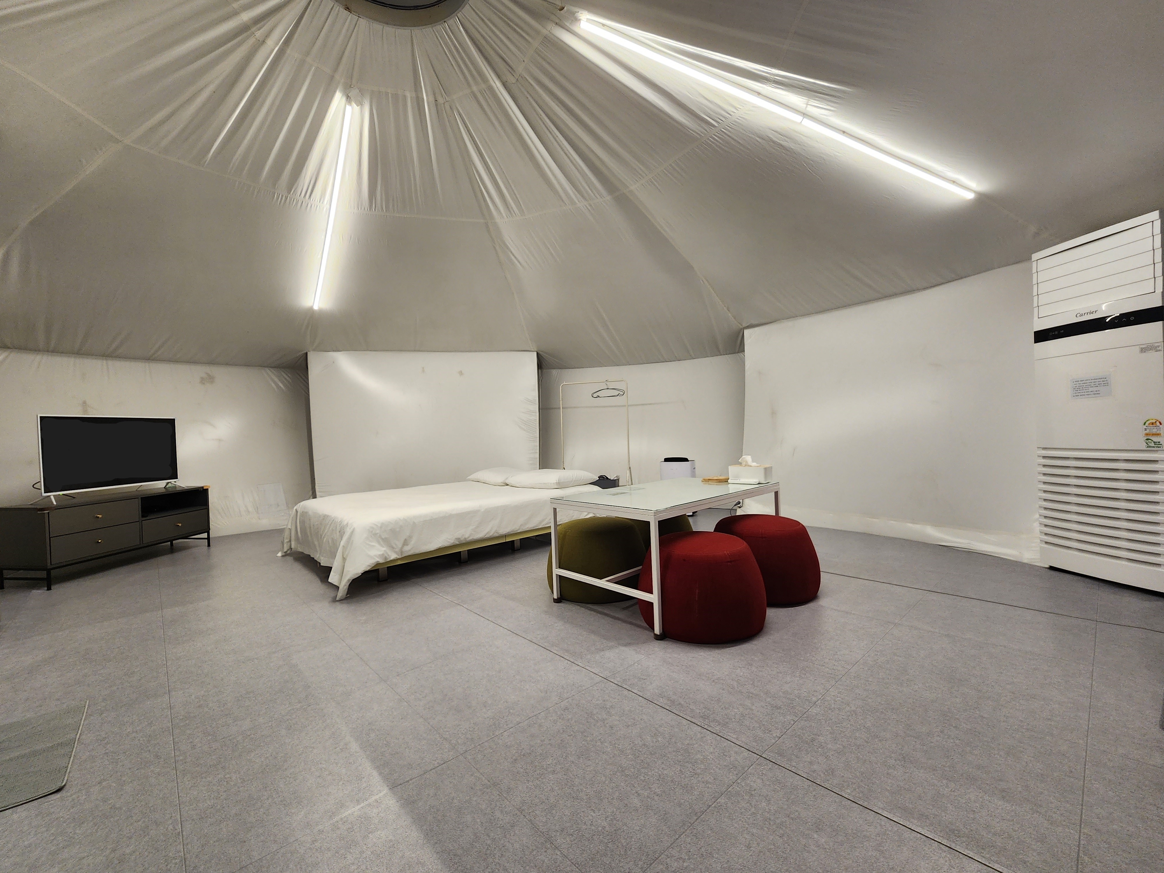 로투스1 thumbnail 3