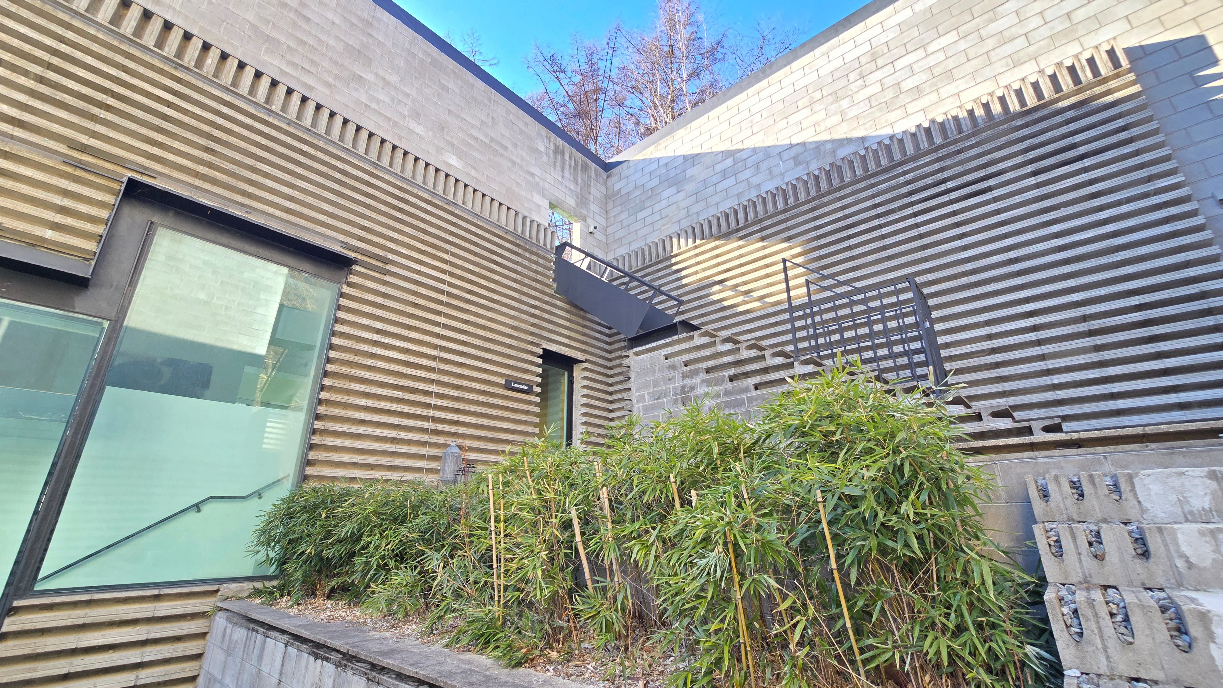 라벤더 thumbnail 11