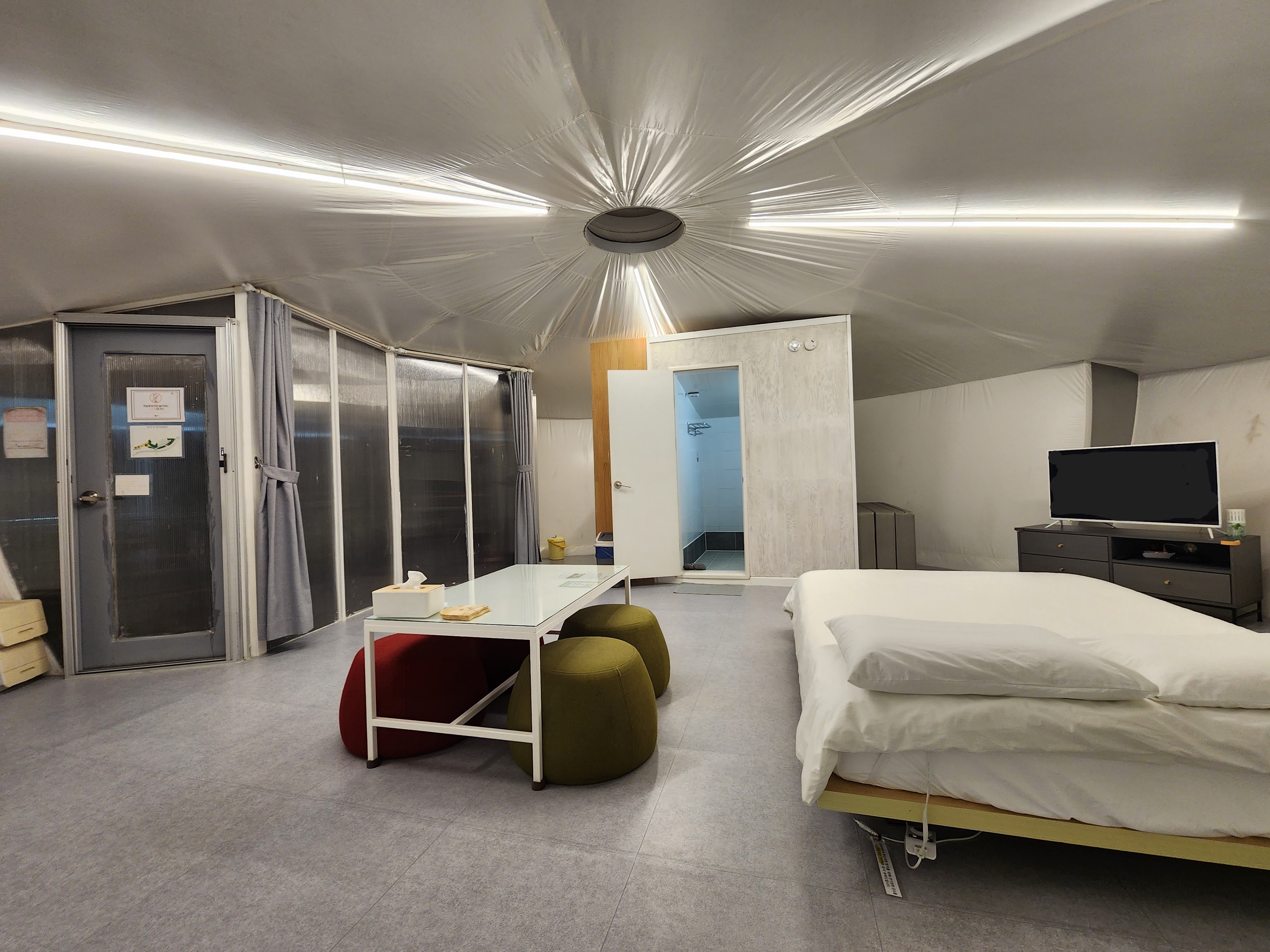 로투스1 thumbnail 5