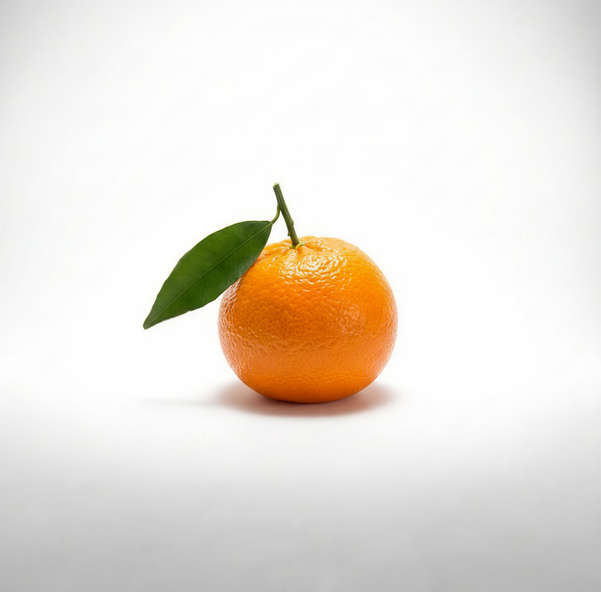 オレンジフィルムのコンセプト