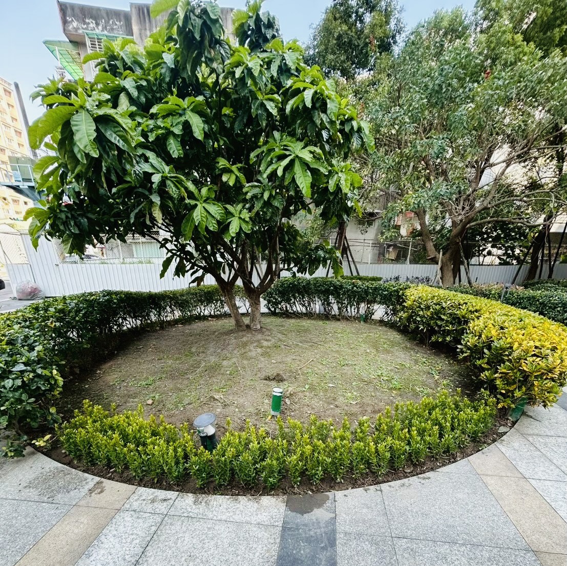 樹匠園藝移植後養護追蹤,確認新植樹木新芽萌發狀況與澆水管理是否正常