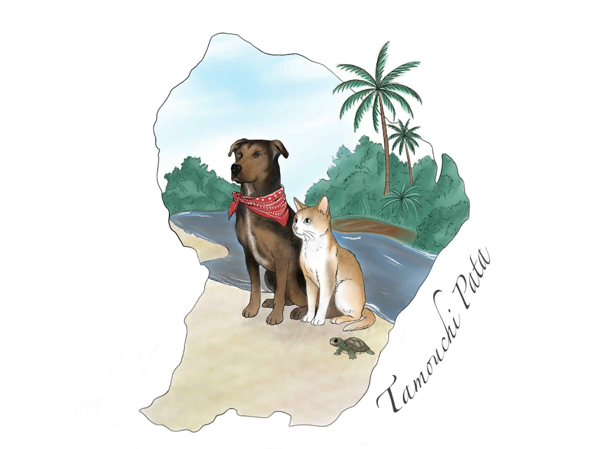 Vision du projet Tamouchi Pata