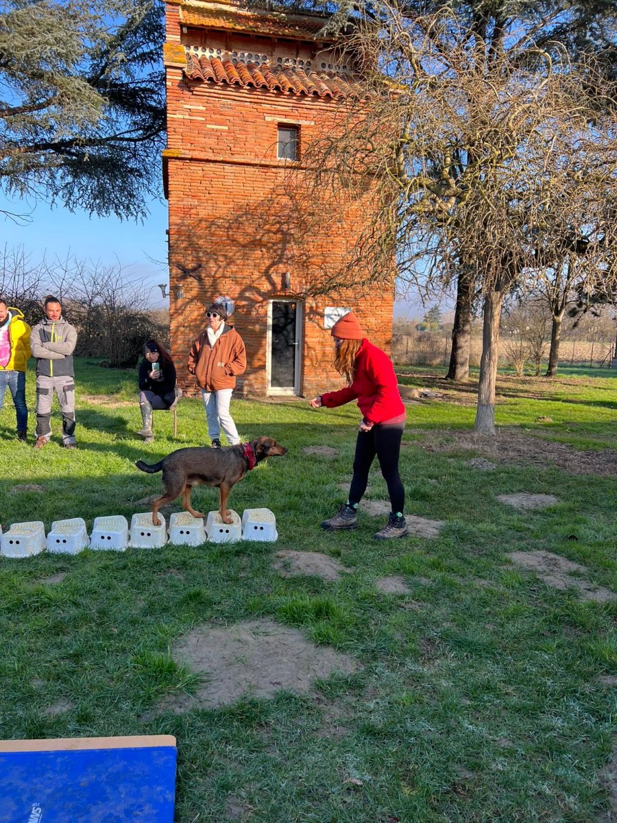 Marie Droguet en séance d'éducation canine