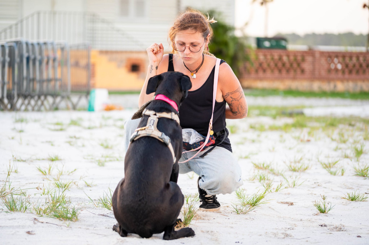 Marie Droguet en séance d'éducation canine