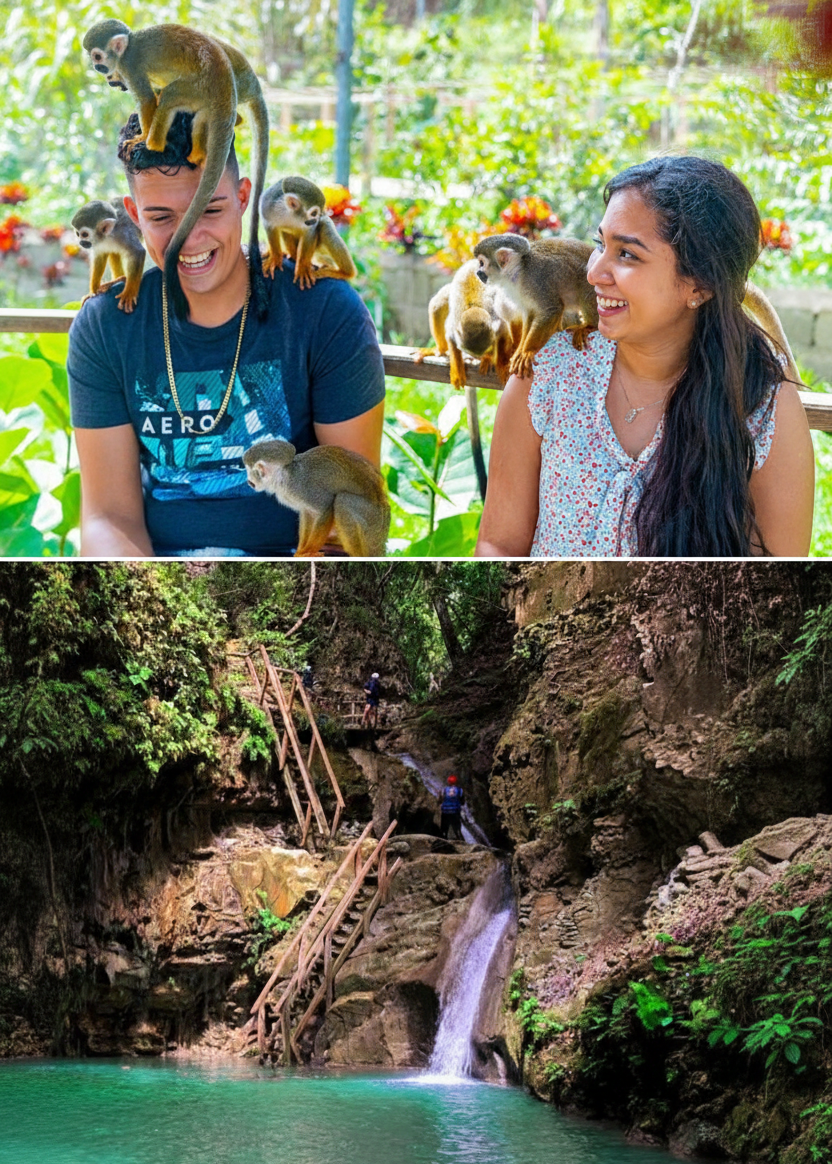 Combined Tour: Monkey & Waterfalls of Damajagua – Ultimate Adventure