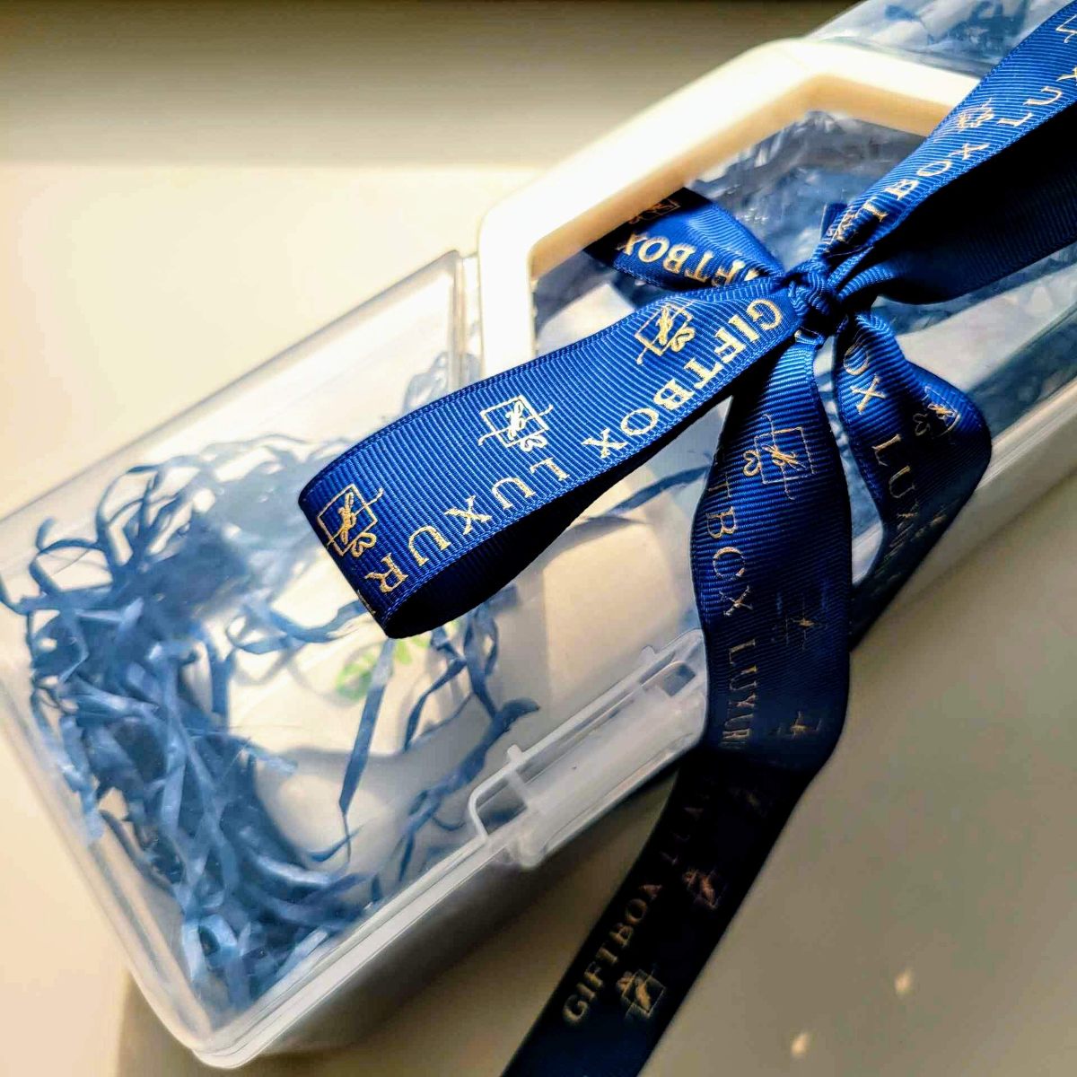 Premium Vessel Bridge Visual