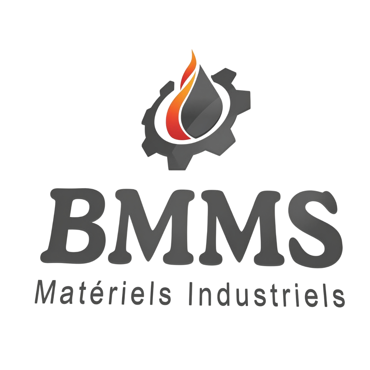 BMMS Logo