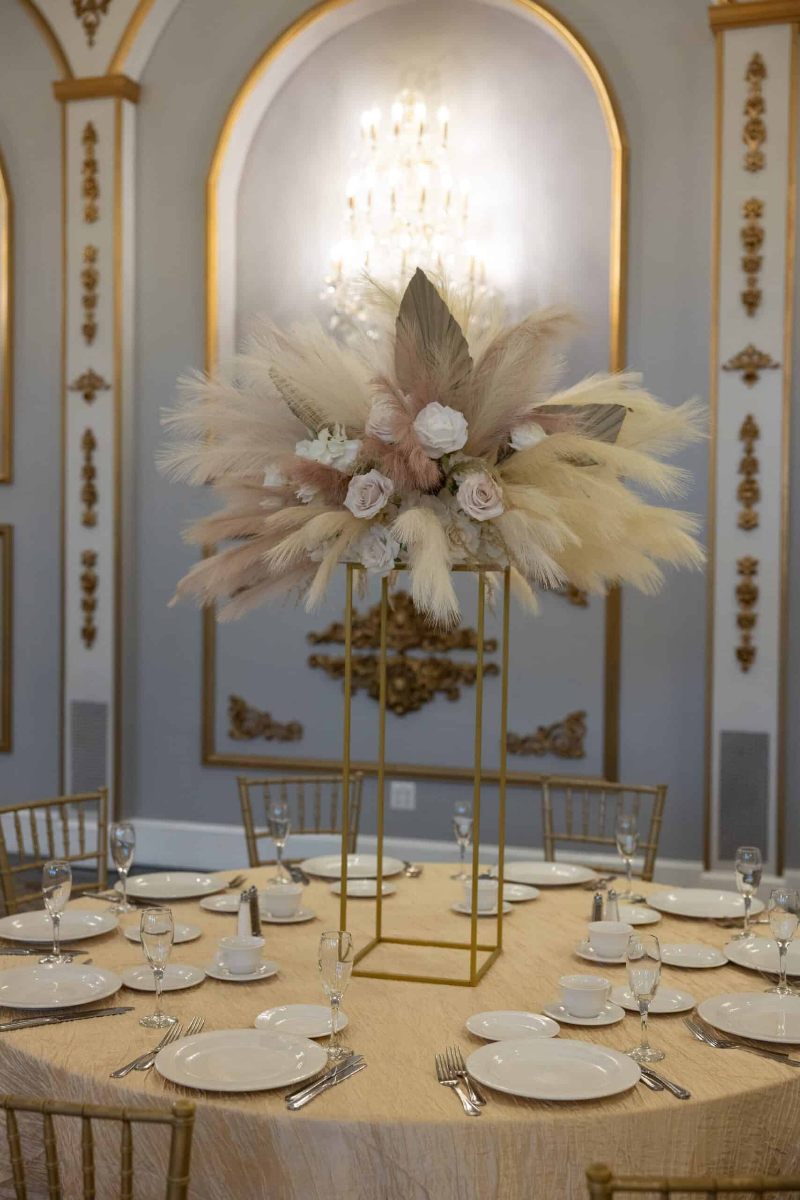 Pampas Grass