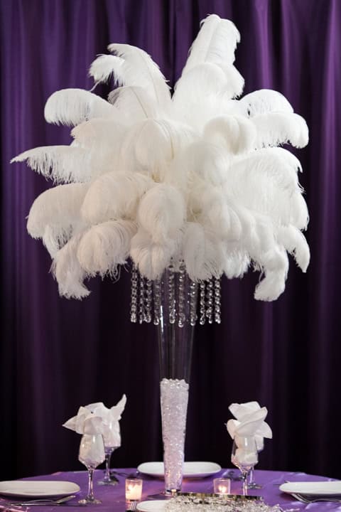 Ostrich Feathers