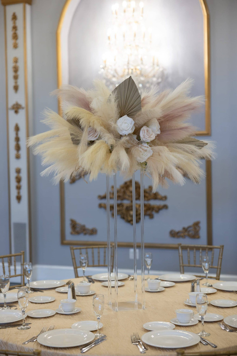 Pampas on Clear Harlow Stand
