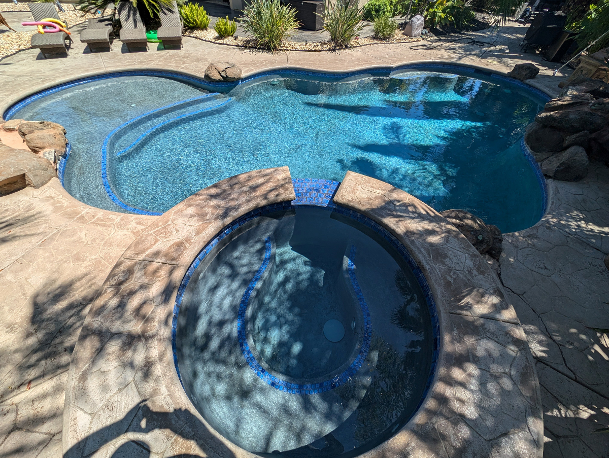 Sparkling clean backyard pool Antelope