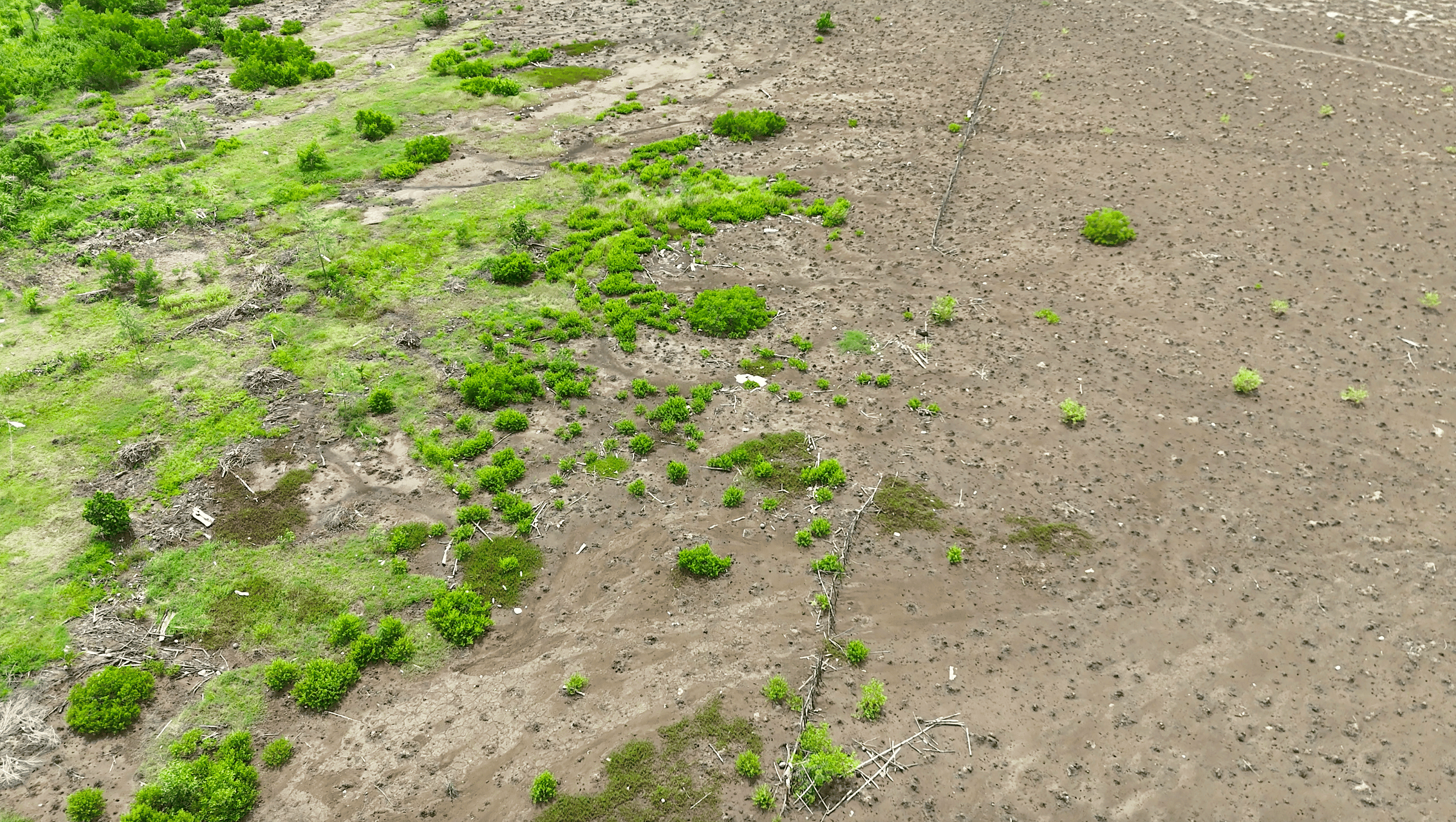 セメラルビーチ近くの土地 3
