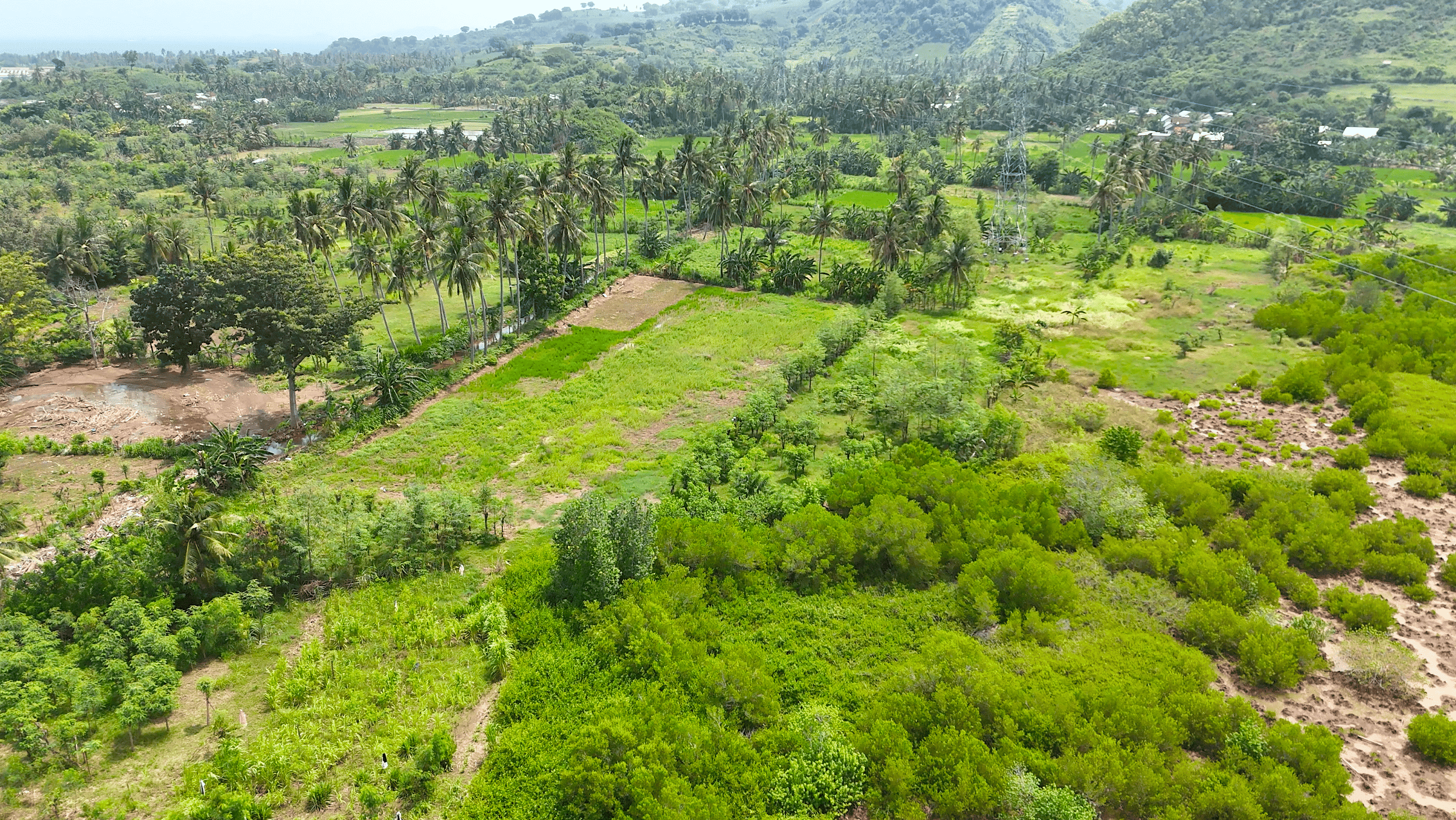 セメラルビーチ近くの土地(内陸側)