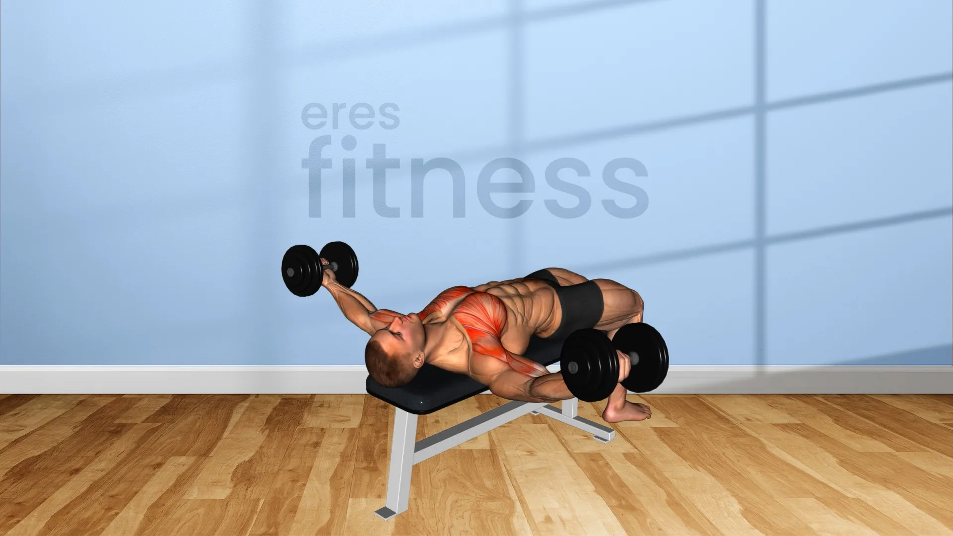 Aperturas con Mancuernas