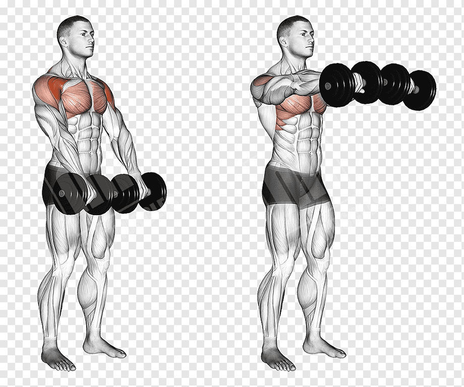 Elevaciones Frontales