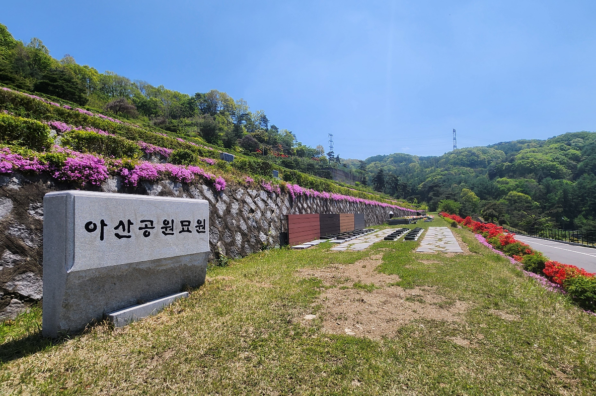 갤러리 이미지 5