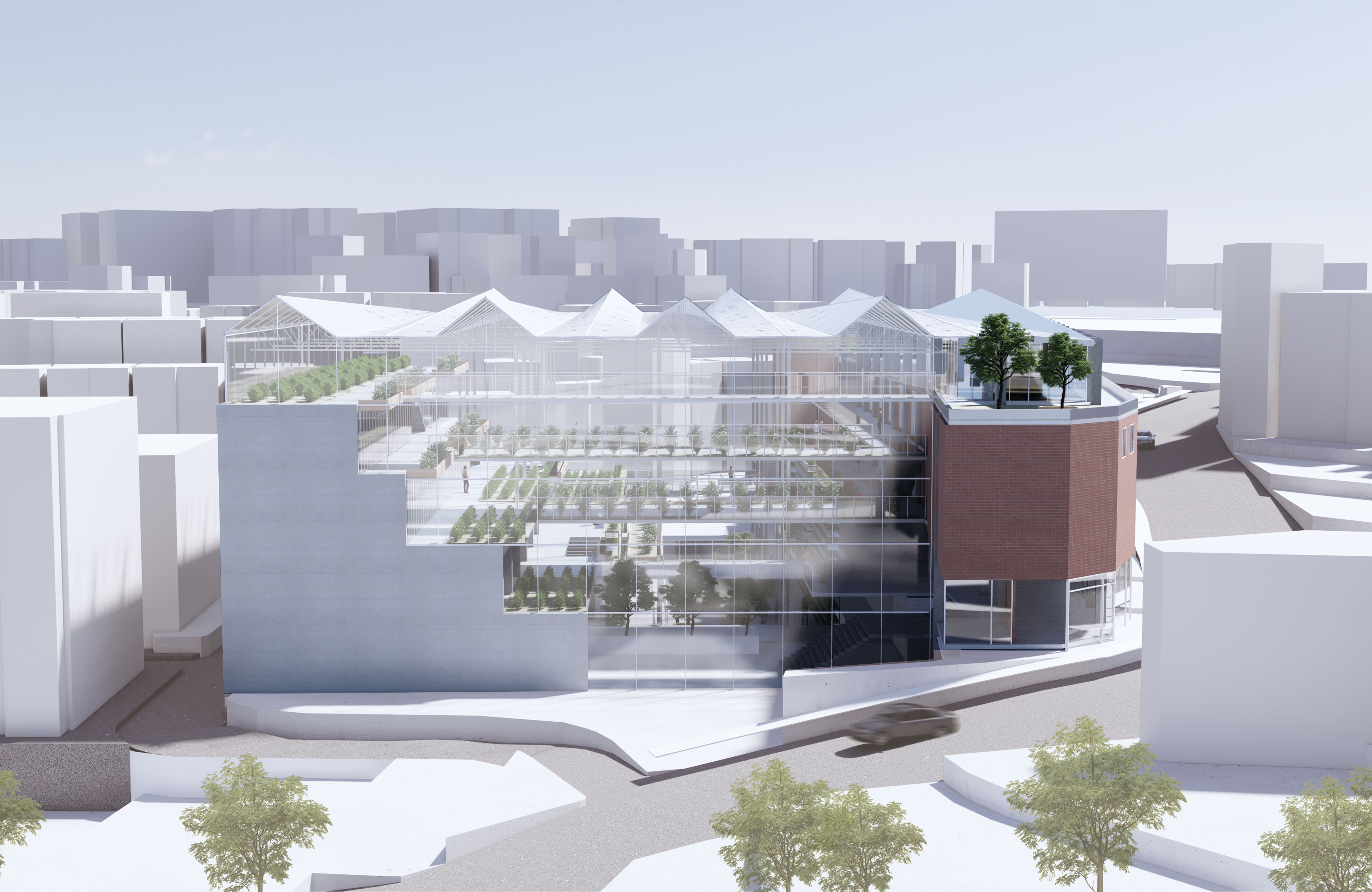 Green Farm in the Market