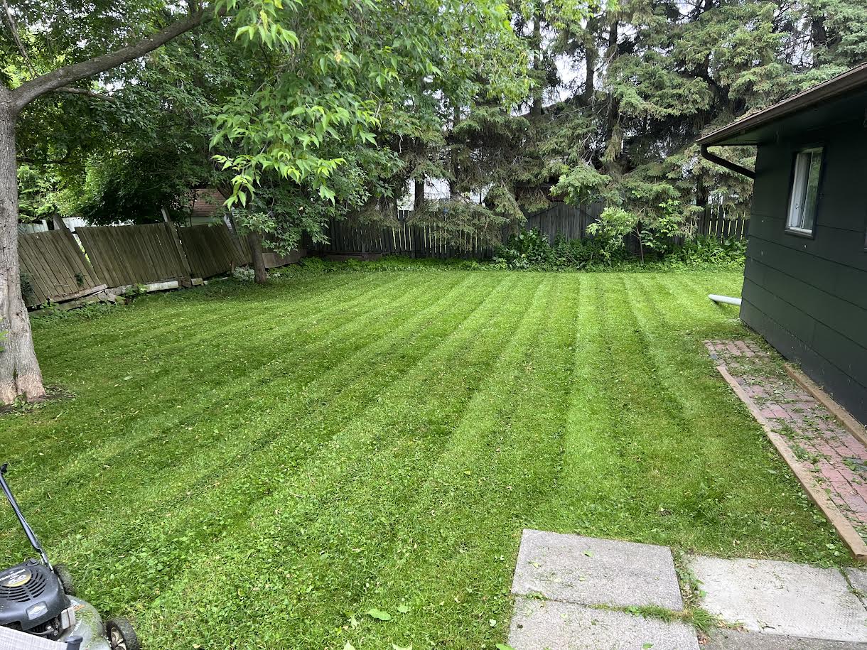 Residential Lawn Transformation