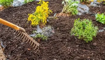 Garden Bed Mulching