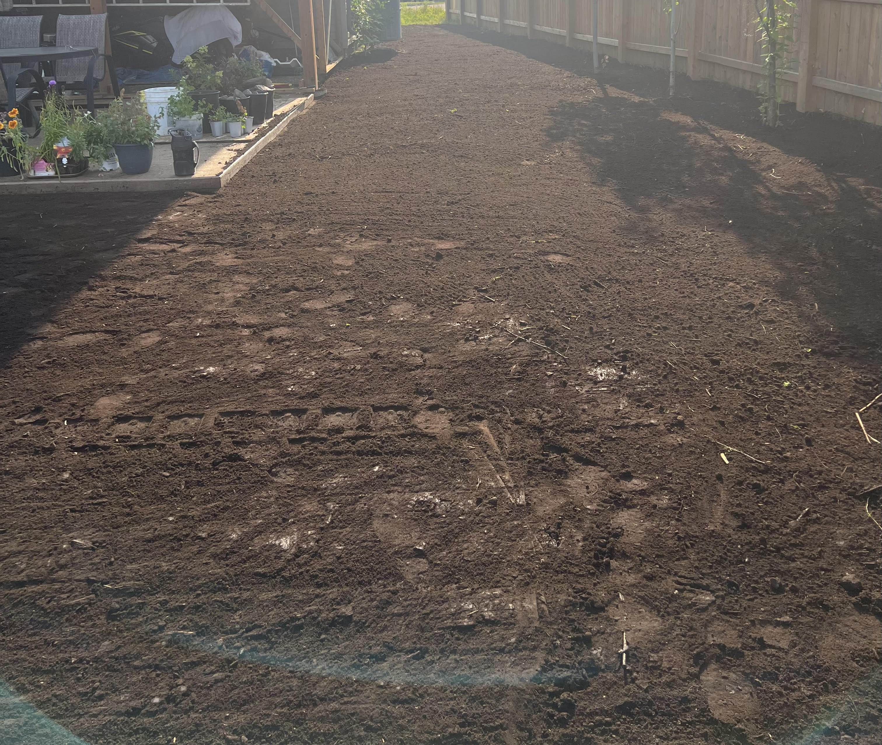 Backyard Landscape&nbsp;