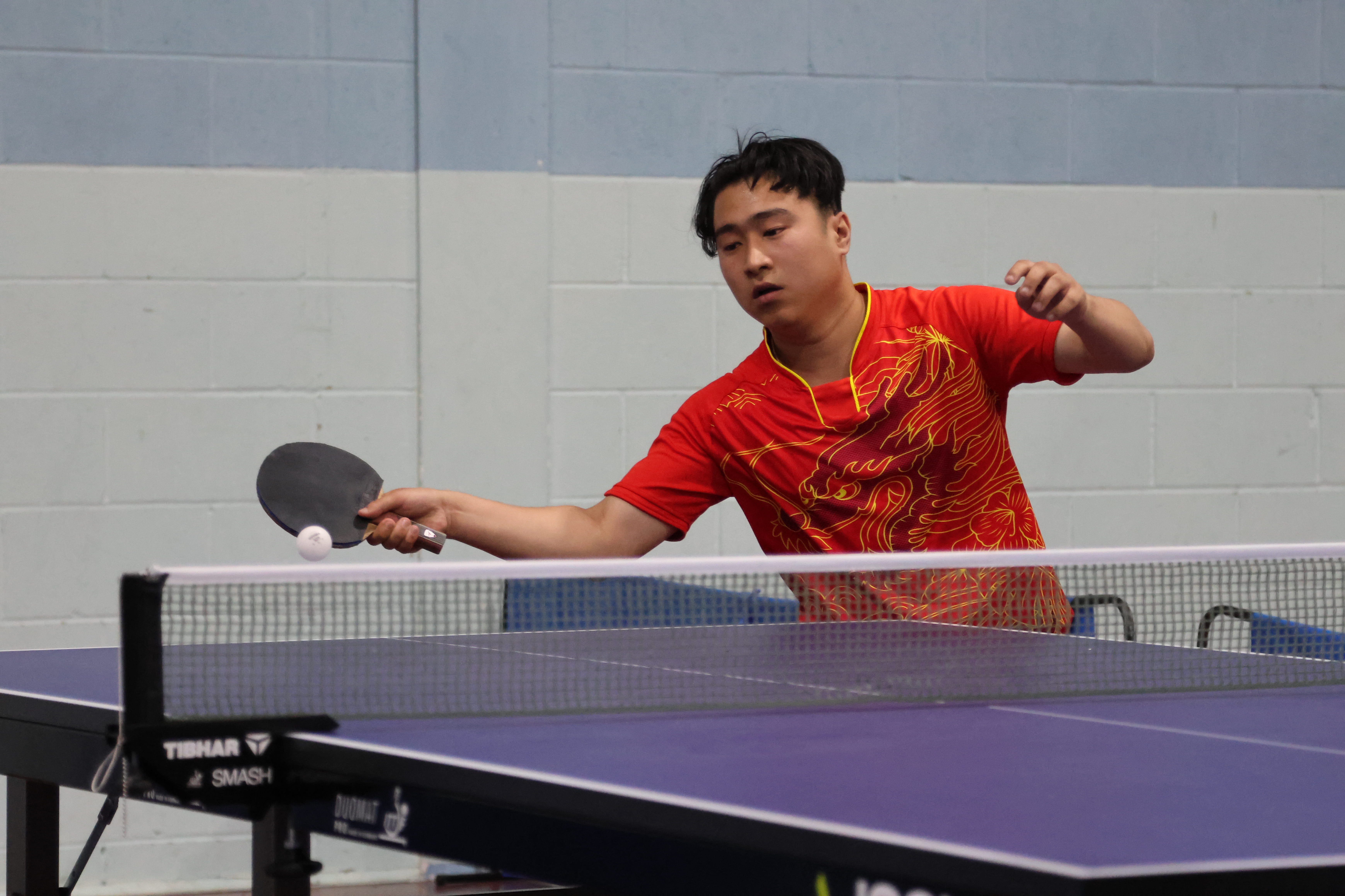 Bodhit DC table tennis coach
