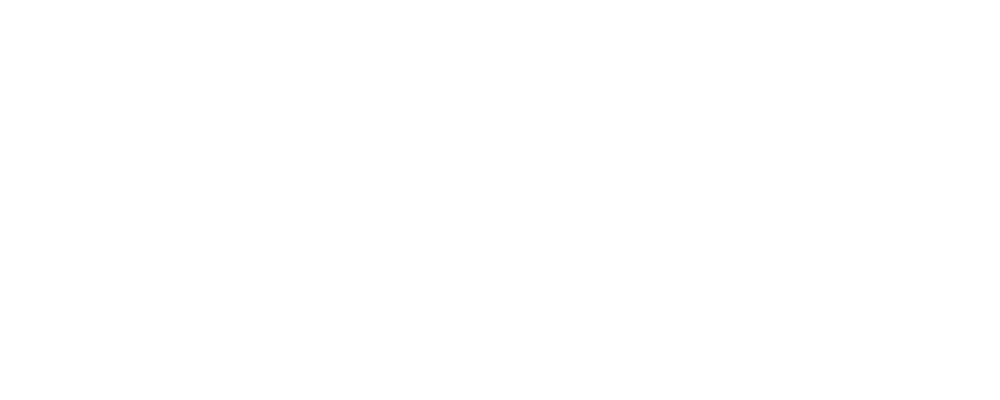 Bio System IRES Logo