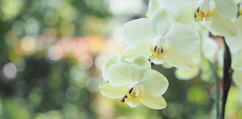 新規開業のご挨拶