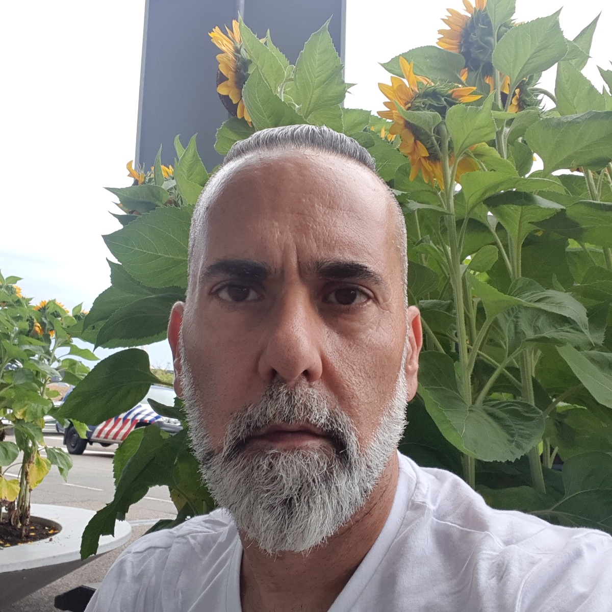 רמי מועלם - מומחה בקרת הורים