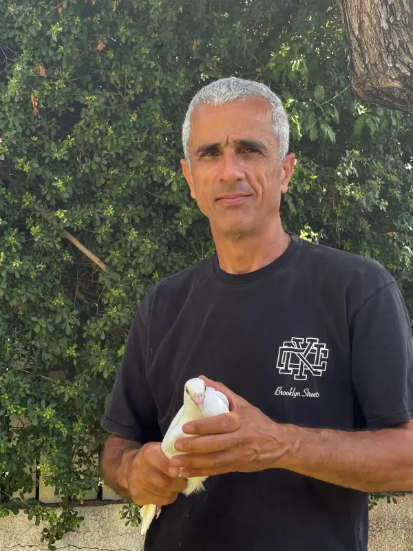 אלון דבוש מחזיק יונת דואר לבנה ביד לפני הפרחה לאירוע