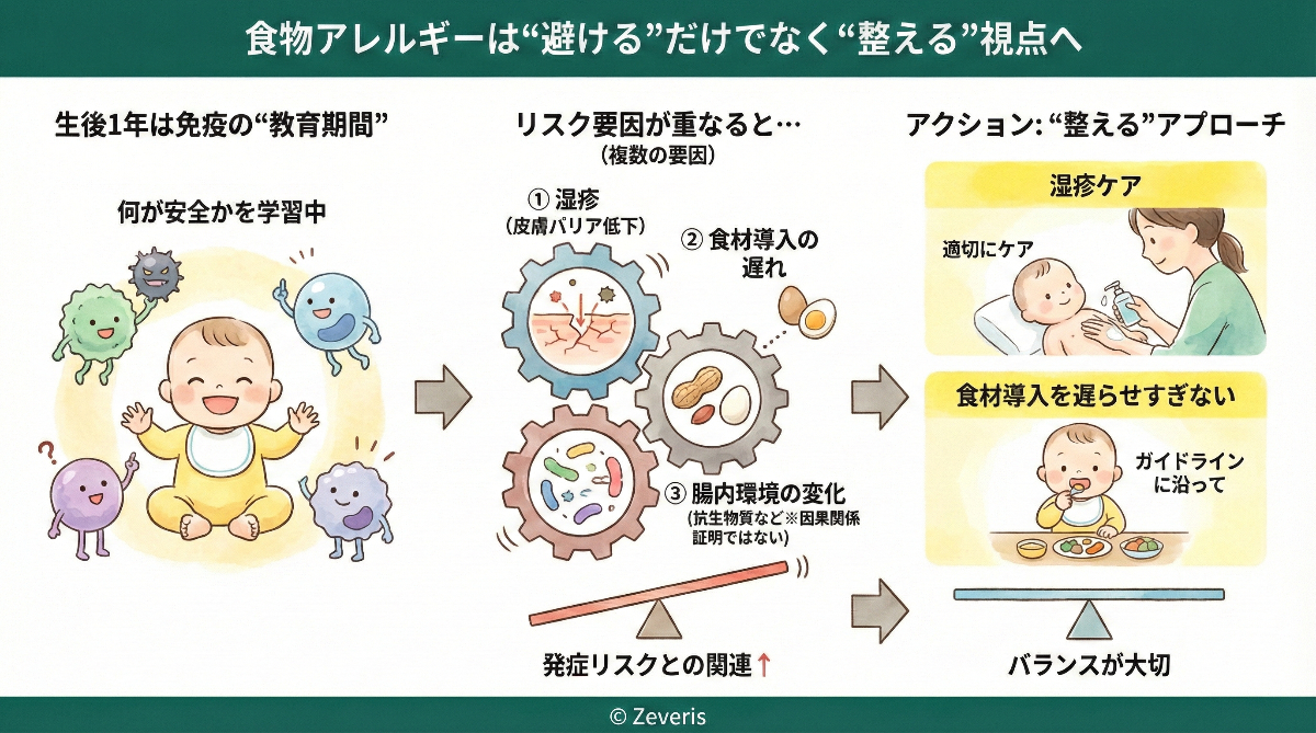食物アレルギーは"避ける"より"整える"——280万人研究が示す生後1年の重要性