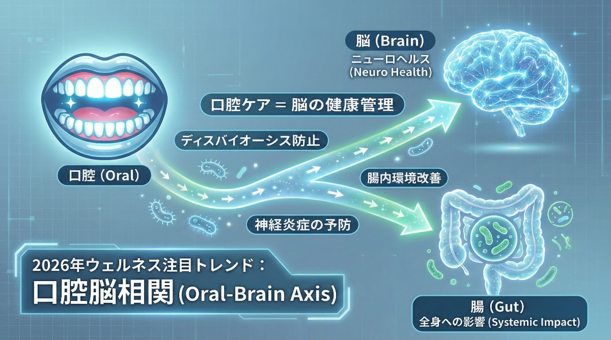 🦷【2026年ウェルネス・トレンド】口腔脳相関(Oral-Brain Axis)が変えるヘルスケアの常識