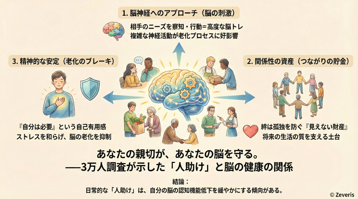 あなたの親切が、あなたの脳を守る。――3万人調査が示した「人助け」と脳の健康の関係