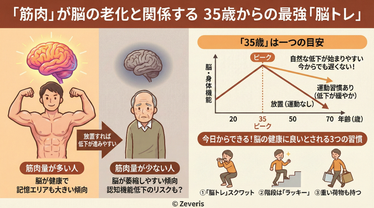 「筋肉」が脳の老化を食い止める? 35歳からの筋トレが最強の「脳トレ」である理由