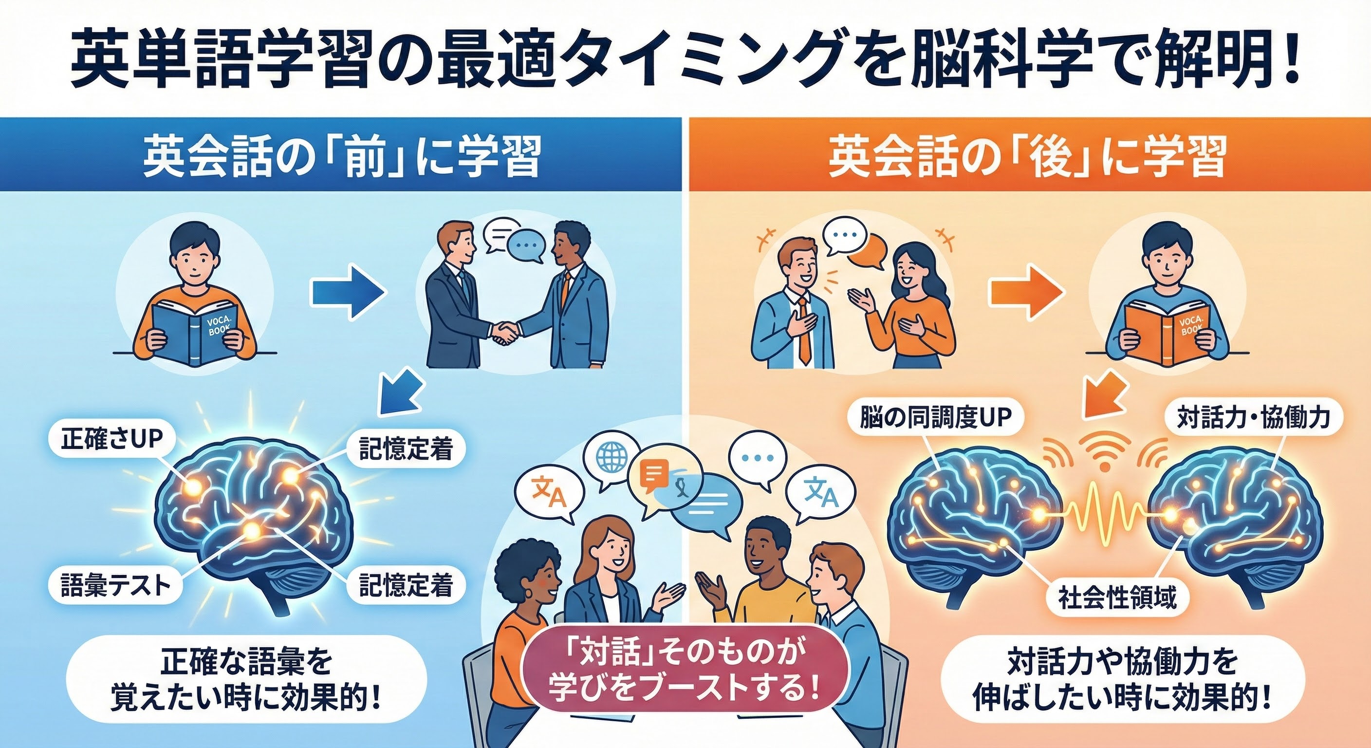 🧠【最新研究】第二言語習得における「脳の同期」とタイミングの重要性