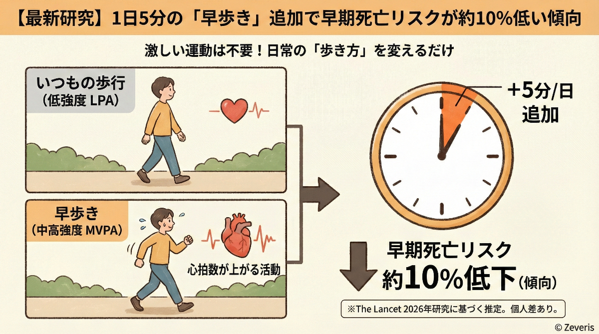 【最新研究】1日5分の「早歩き」追加で早期死亡リスクが約10%低い傾向