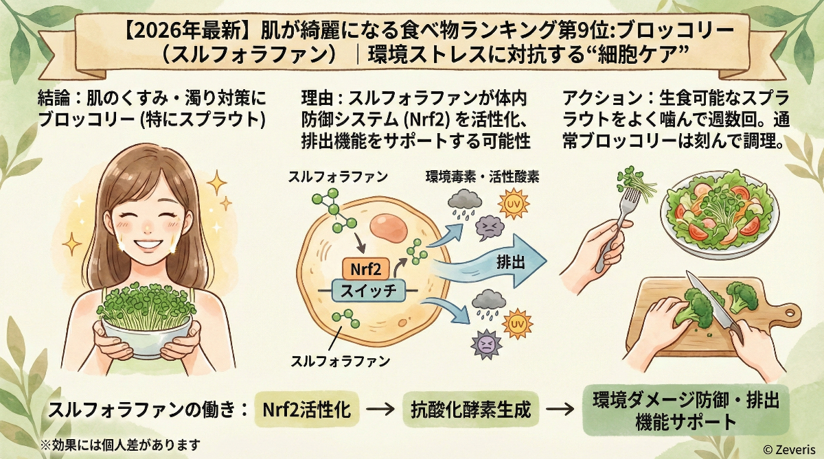 【2026年最新】肌が綺麗になる食べ物ランキング第9位:ブロッコリー(スルフォラファン)|環境ストレスに対抗する"細胞ケア"