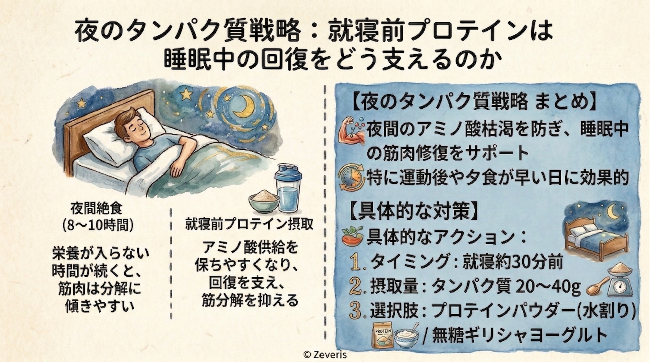 夜のタンパク質戦略:就寝前プロテインは睡眠中の回復をどう支えるのか