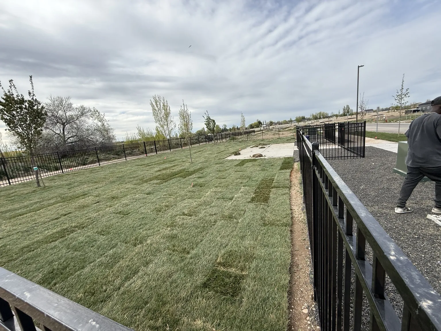 Professional Home Services