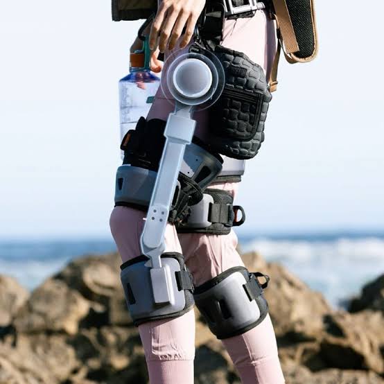 Exoskeleton