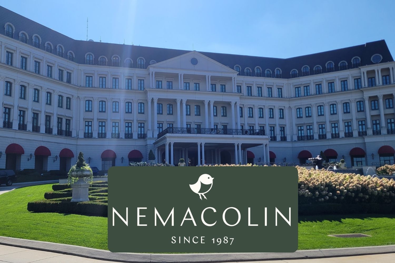 Former Resident Magician