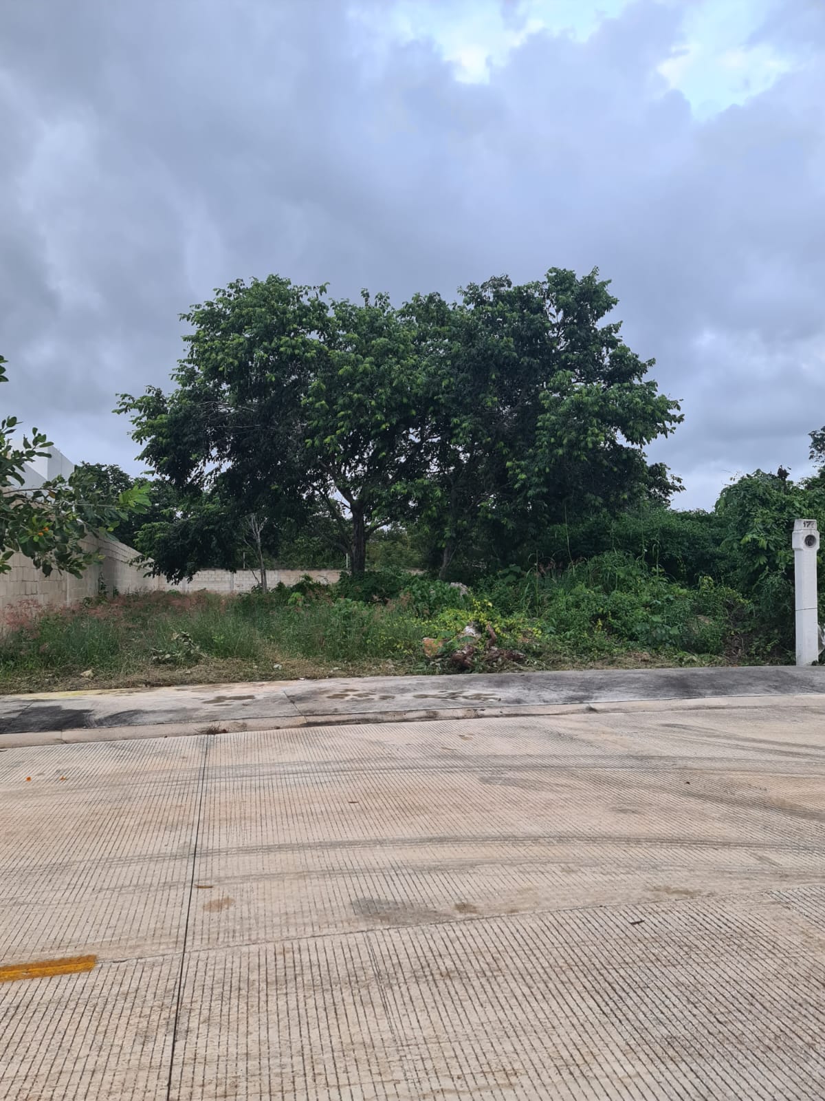 Terreno Zendera 442 m²