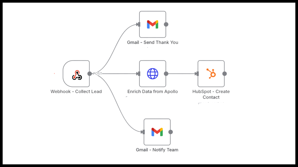 Lead Management Automation