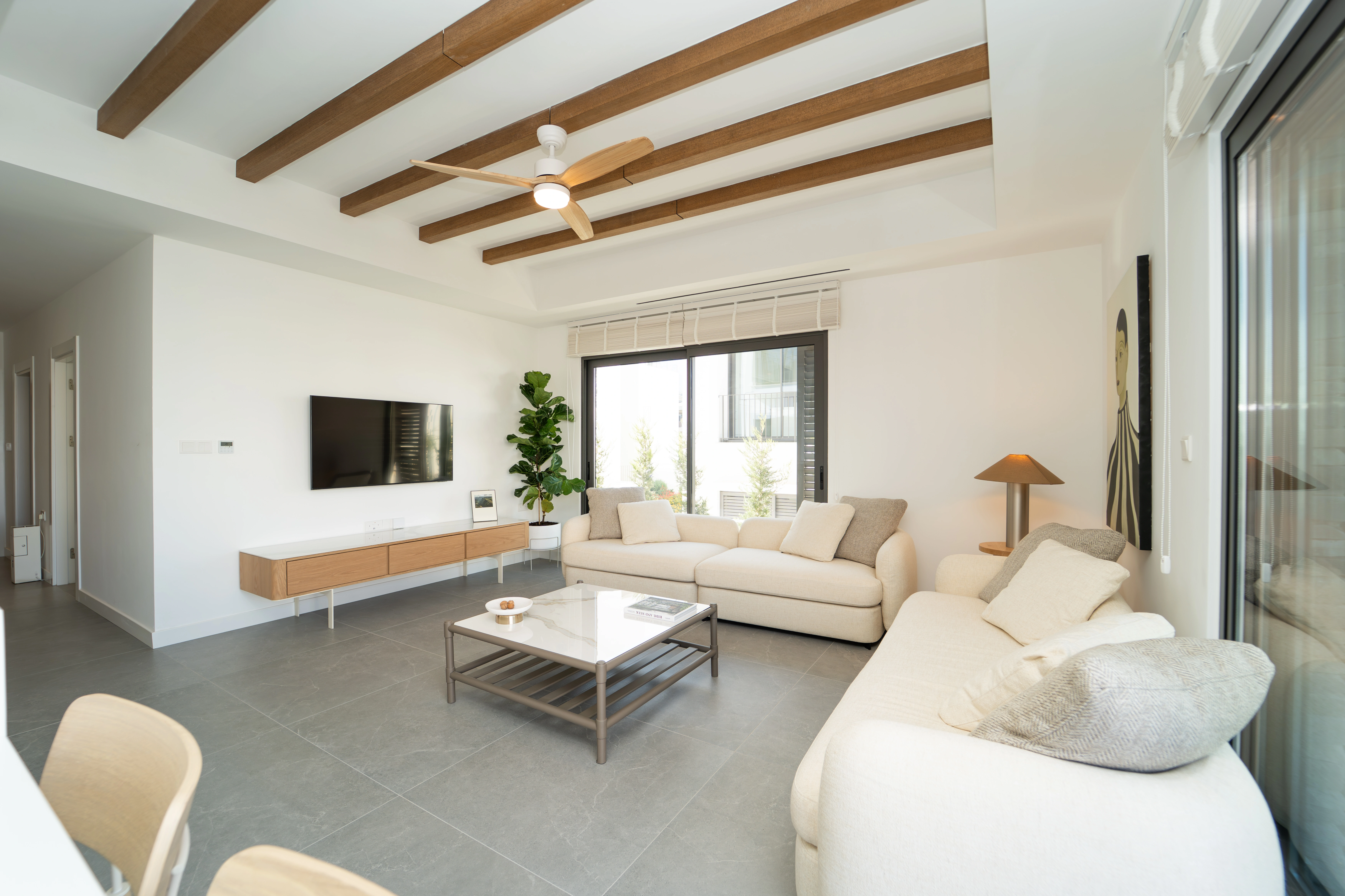 Apartment Interior Living Room