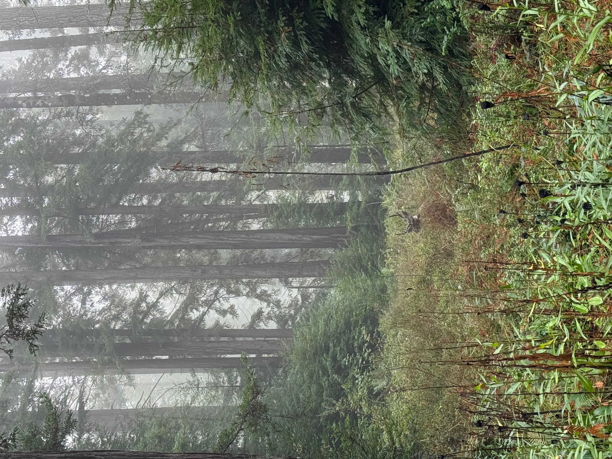 Magdalena home on property