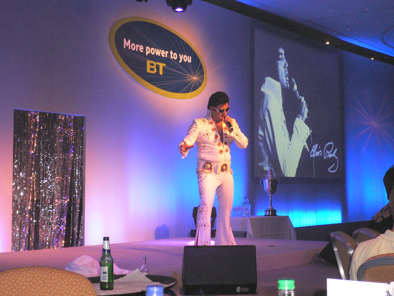 Enthusiastic crowd enjoying the show