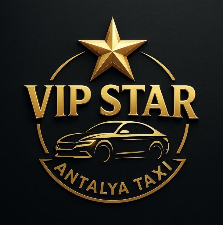 VIP STAR Logo