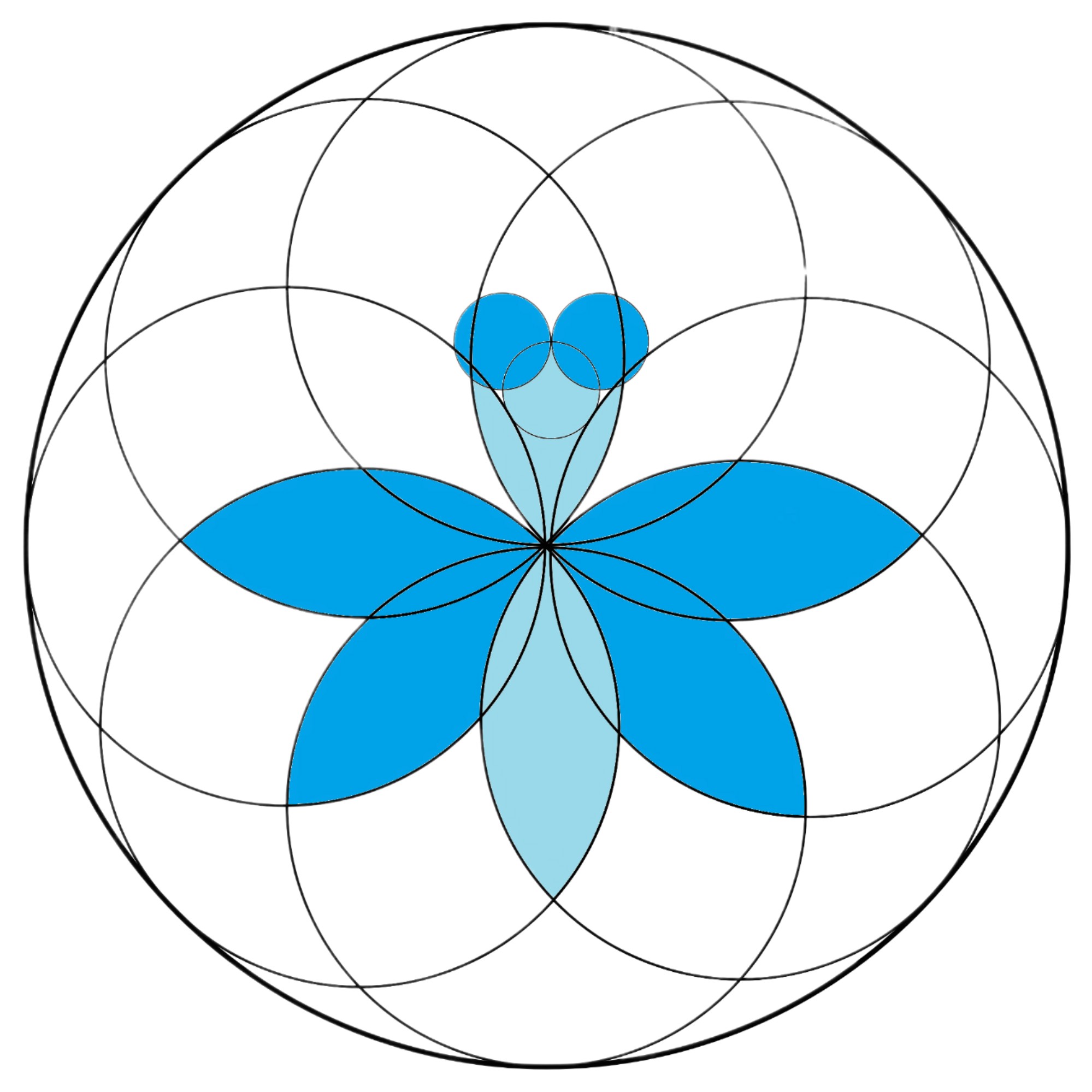 合同会社JAPANTORUS