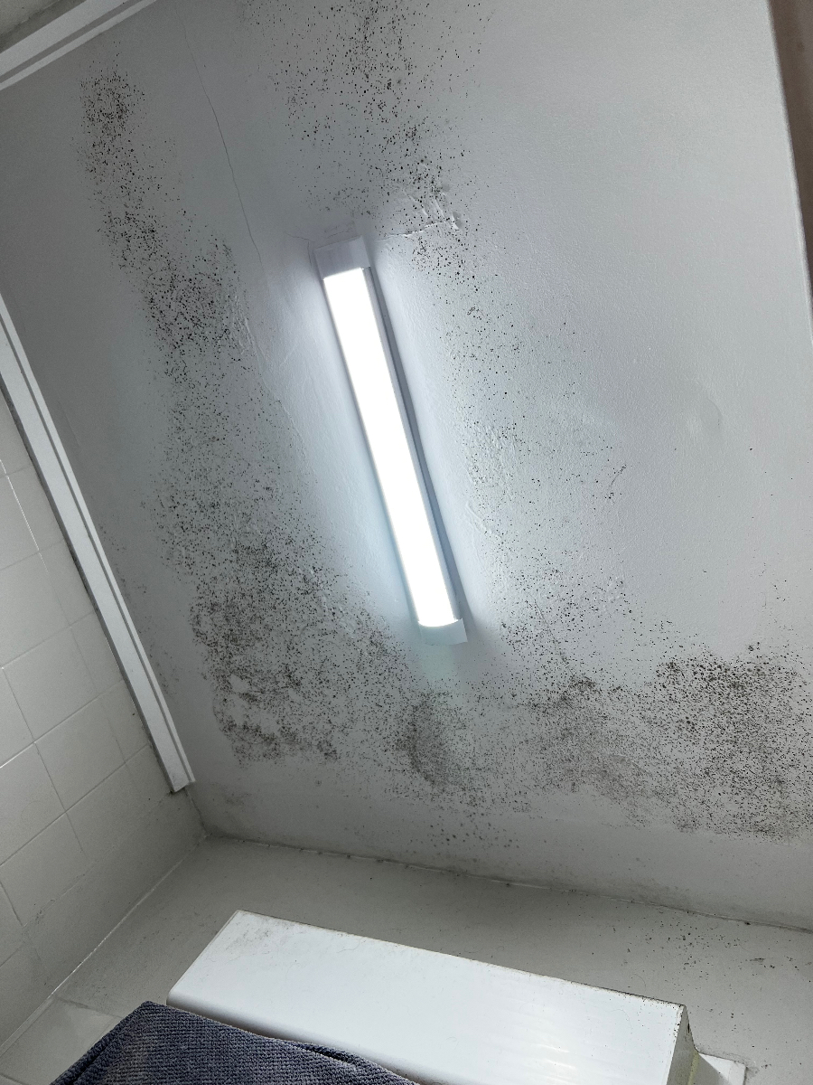 Humidité capillaire en chambre