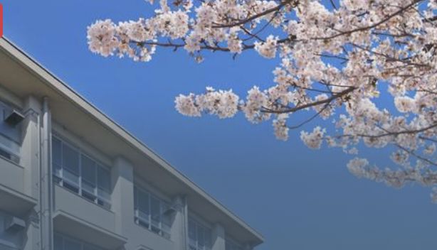 落ち着いた学習環境