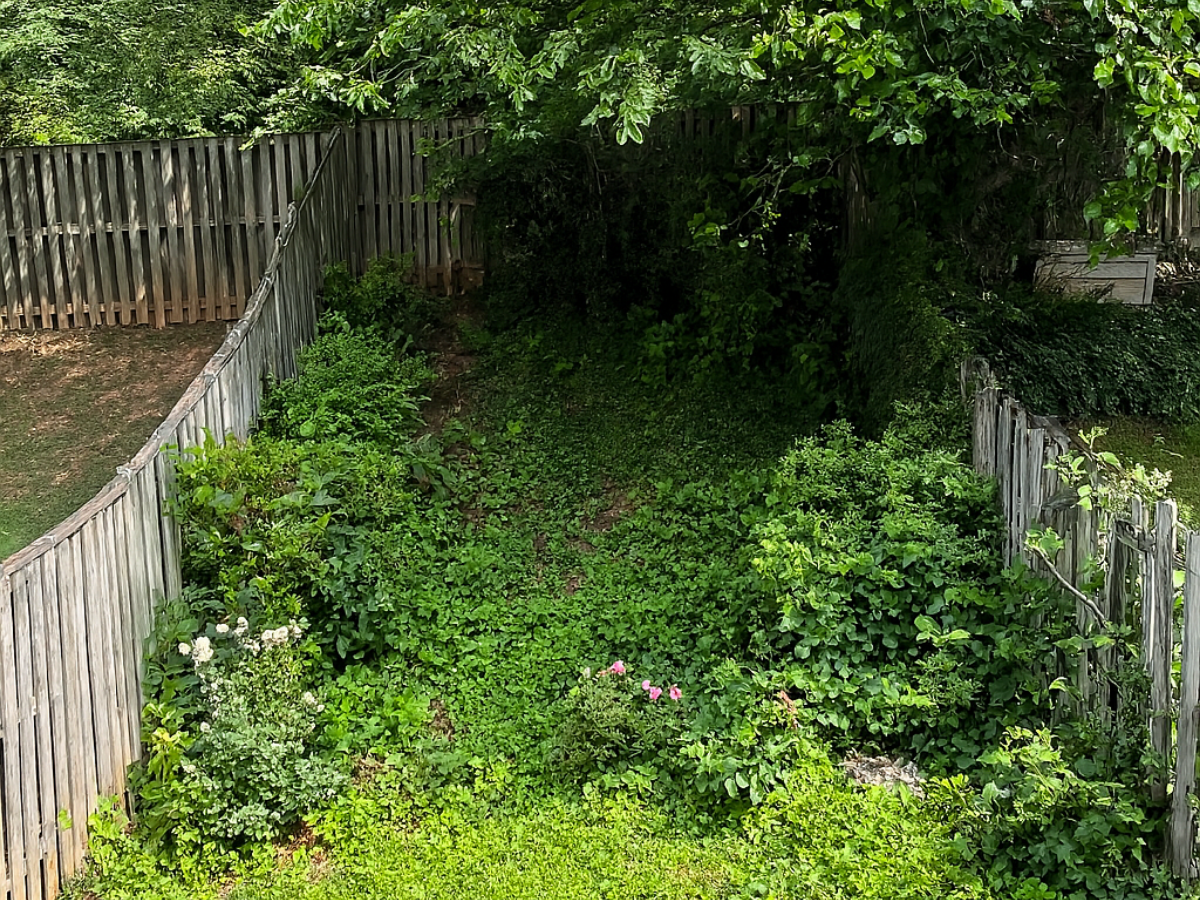 Before Mulching & Gardening